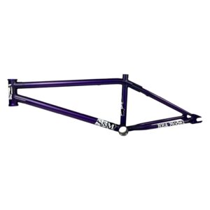 rea frame purp 1