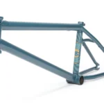 Cuadro BSD Focus