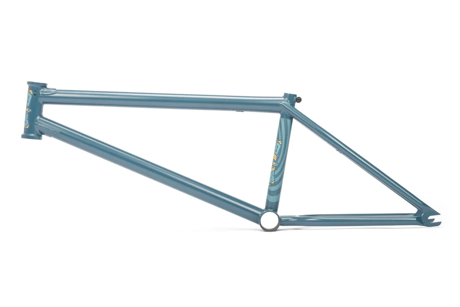 Cuadro BSD Focus